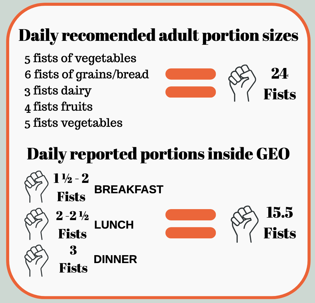 Daily recomended adult portion sizes: 5 fists of vegetables + 6 fists of grains/bread + 3 fists dairy + 4 fists fruits + 5 fists vegetables = 24 fists. Daily reported portions inside GEO: 1 ½ - 2 Fists (BREAKFAST) + 2 -2 ½ Fists (LUNCH) + 3 Fists (DINNER) = 15.5 Fists